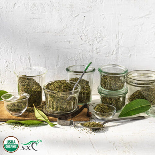 1-2 Taste Organic Lemon Myrtle Dried Leaf Medium Cut in glass containers with green leaves, USDA Organic certified